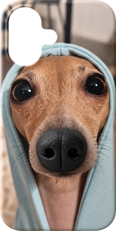 BoopNose phone case sliding out of its pouch