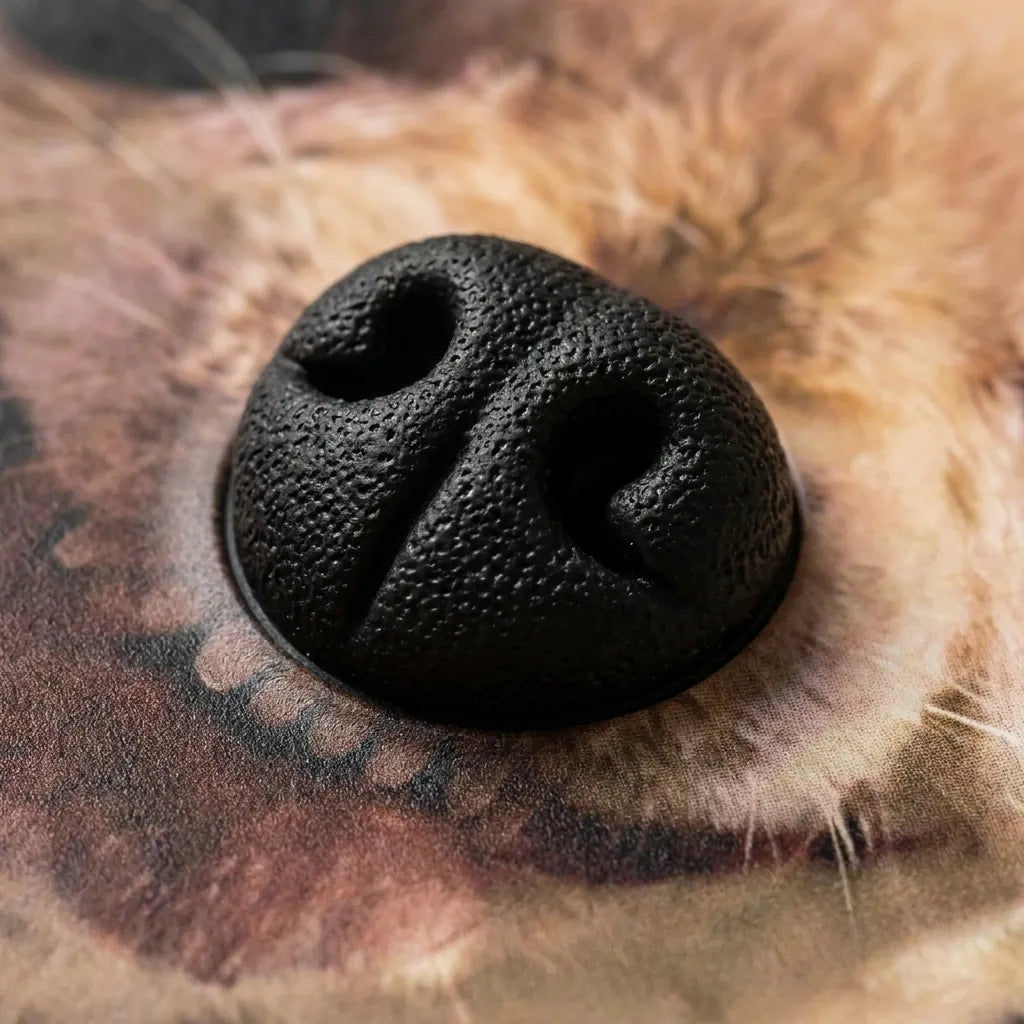 Close-up of the silicone puppy nose raised off the back of a BoopNose case.