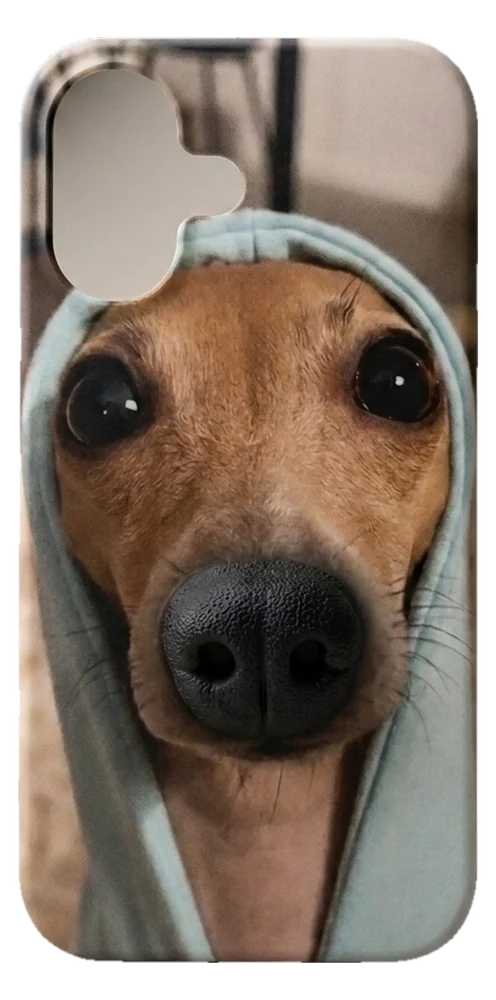 BoopNose phone case with a hooded greyhound puppy nose in 3D